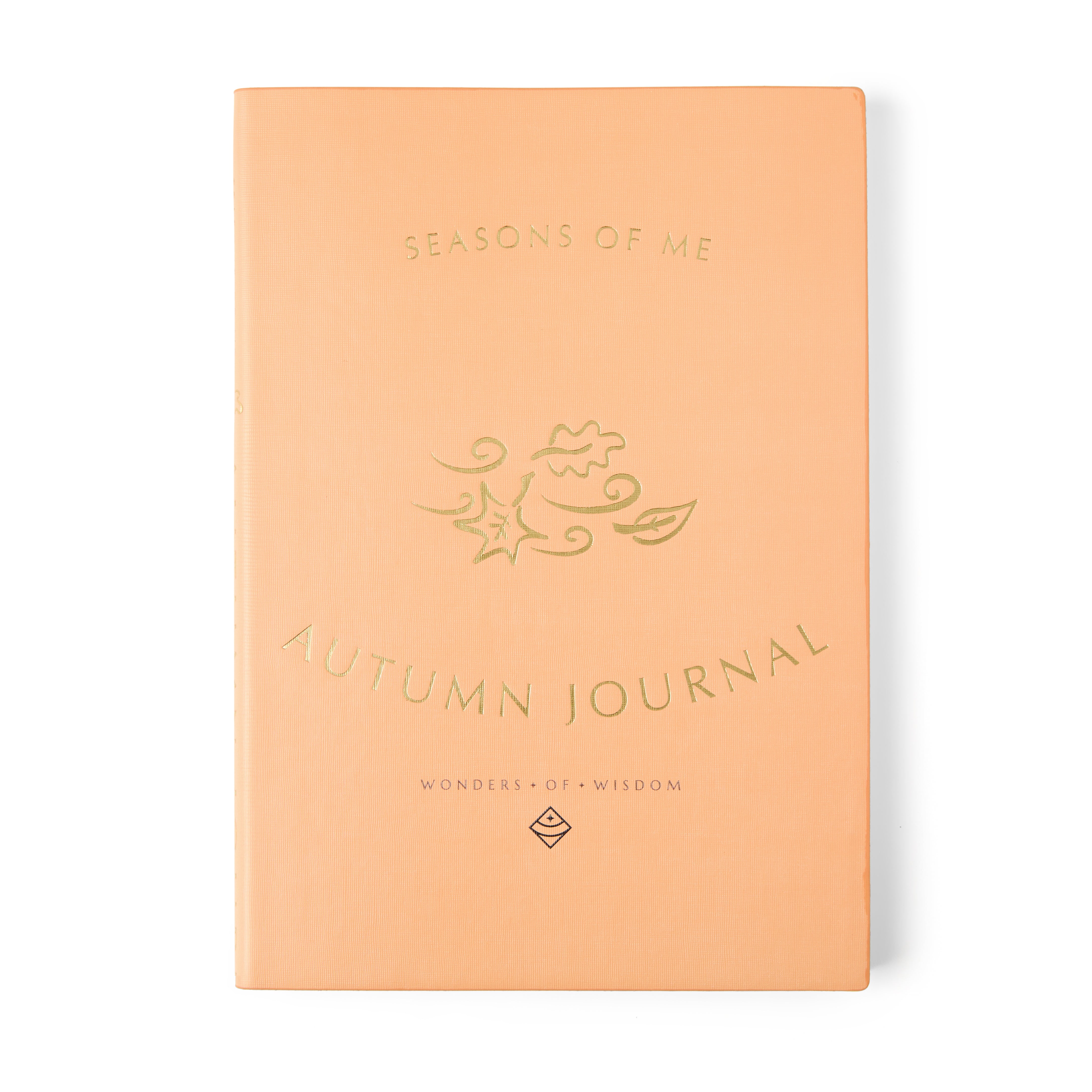 Journey of I AM – Children's Evolving Through the Seasons Journals