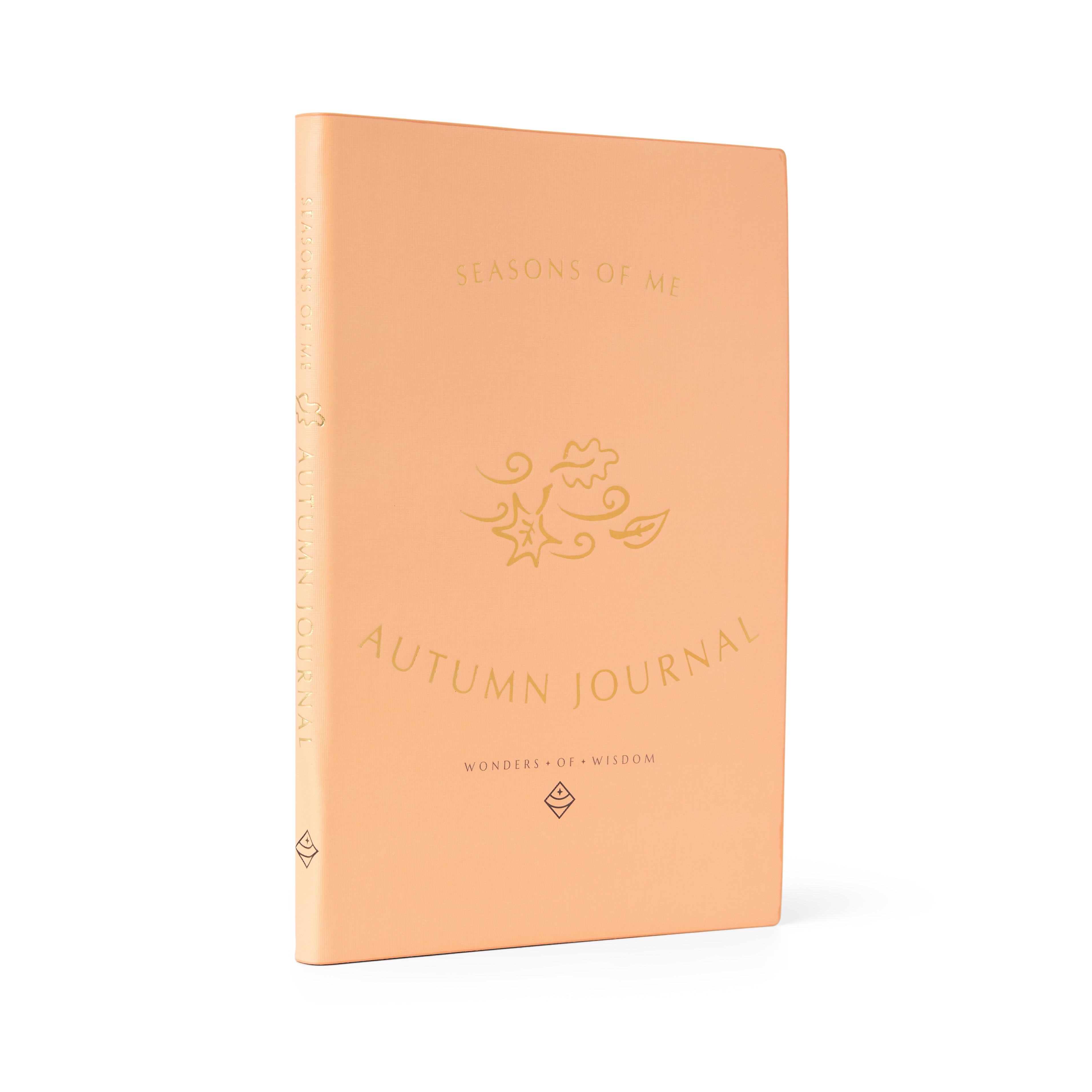 Journey of I AM – Children's Evolving Through the Seasons Journals