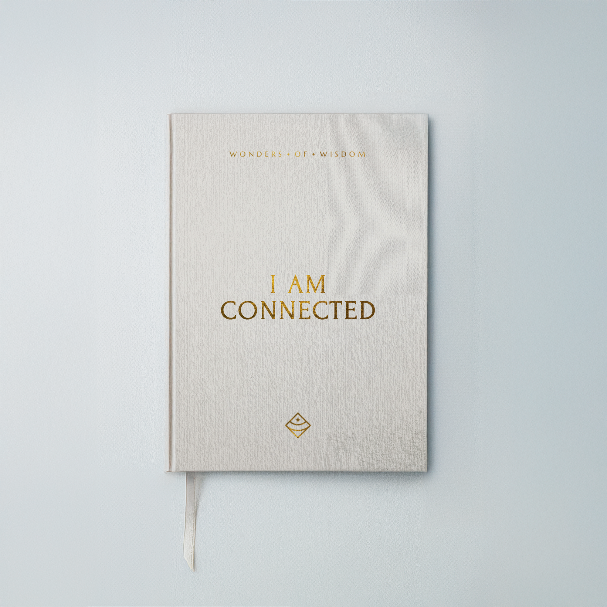 I AM Connected Journal
