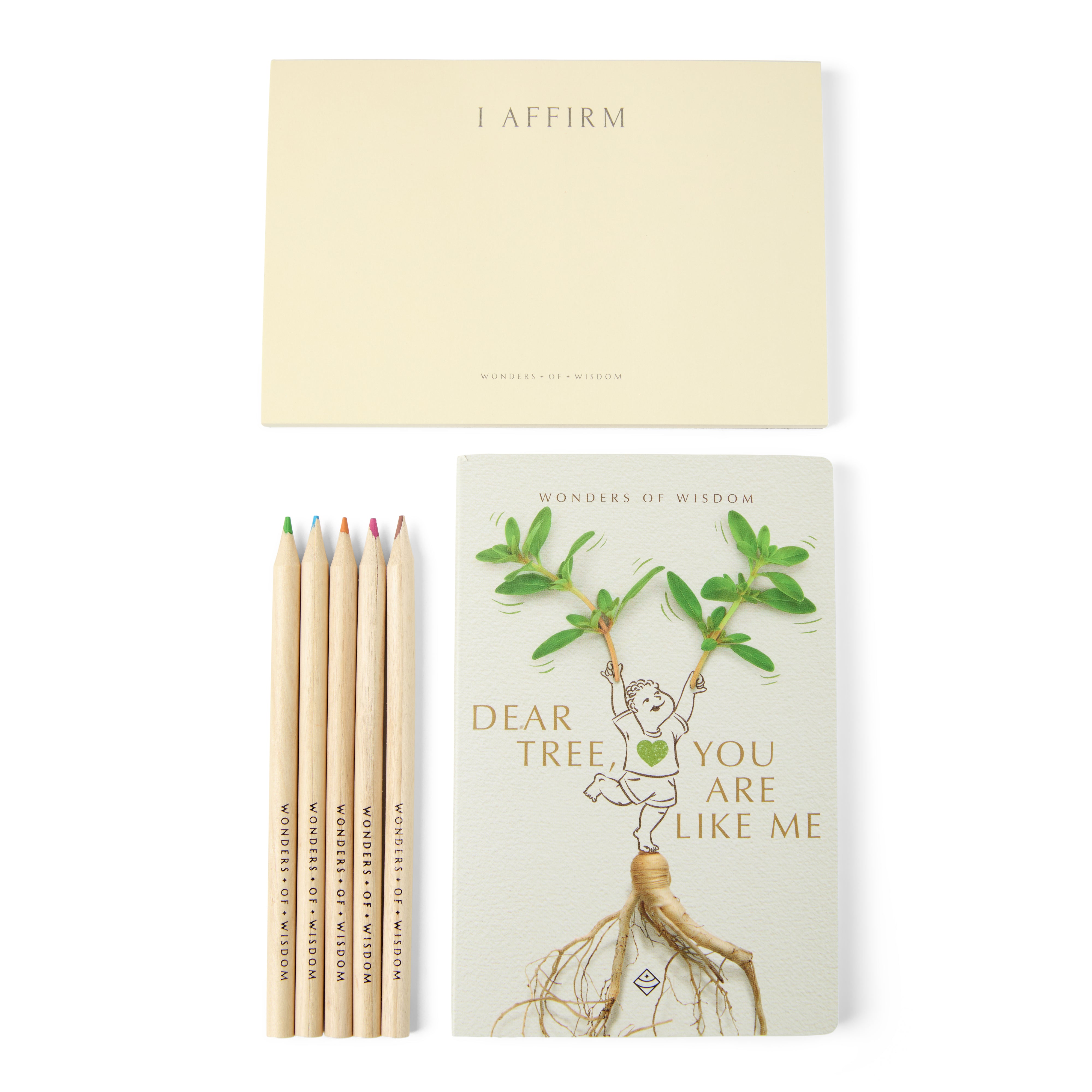 I AM Affirmation Kit – Child Edition